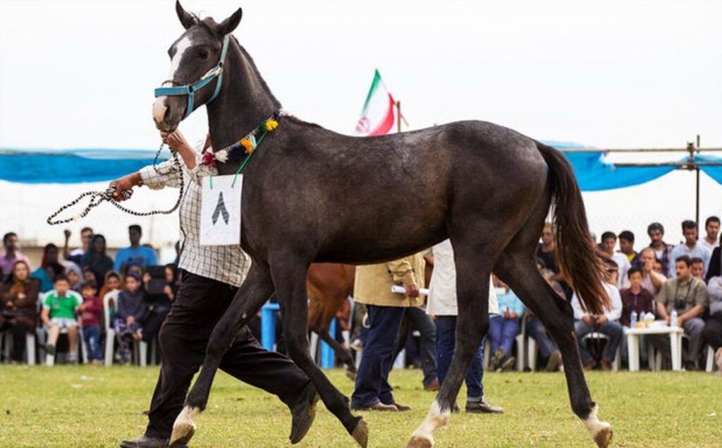 Meilleure période pour visiter Shiraz pour les festivals et événements