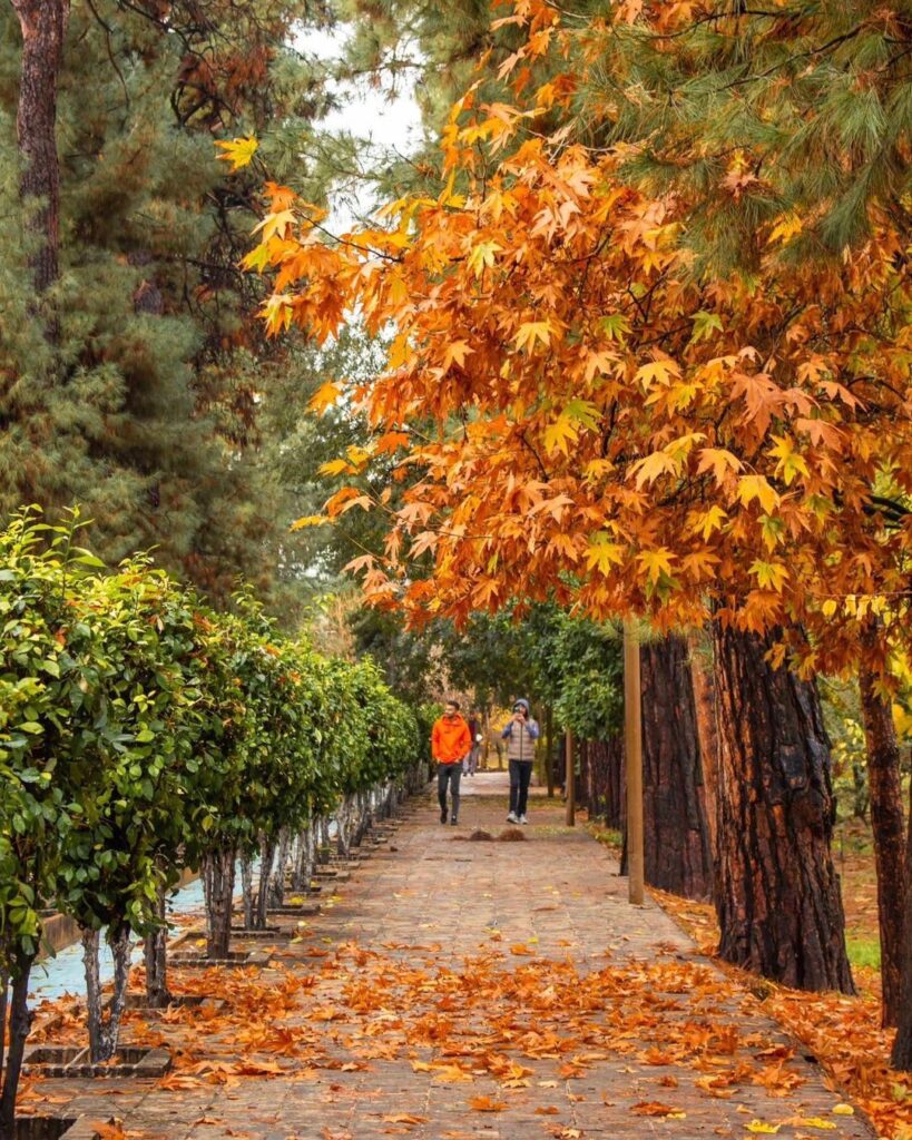 Visite de Shiraz en automne (de septembre à novembre)