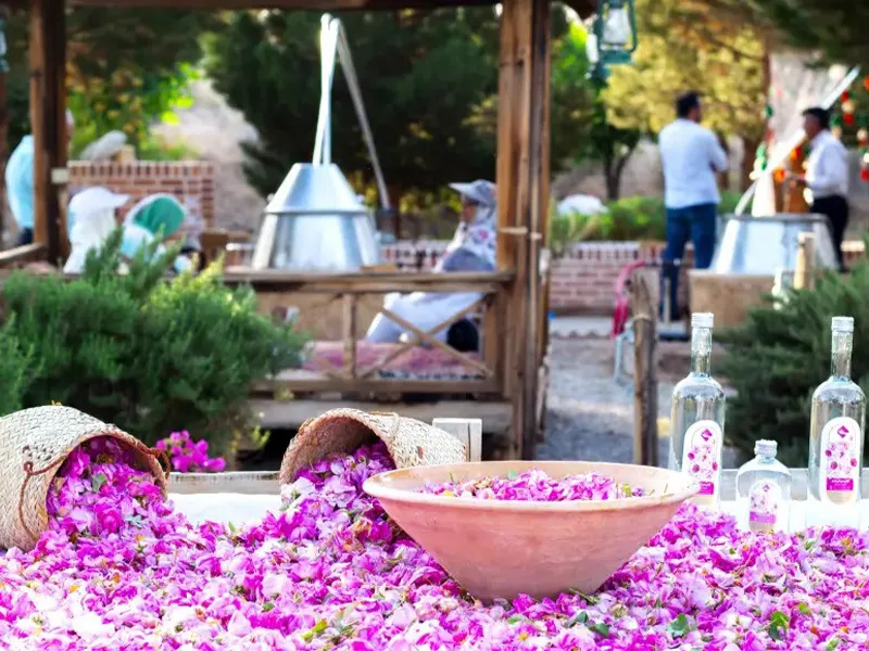 le festival de l’eau de rose de Qamsar